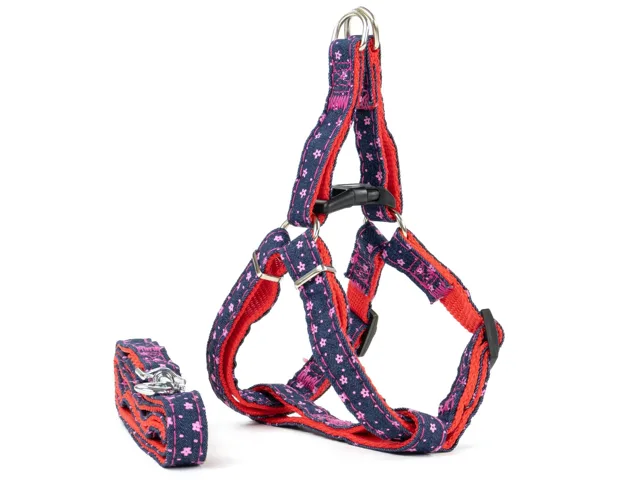 Vsepropejska Beauty postroj pro psa s vodítkem | 28 – 49 cm Barva: Modro-červená, Obvod hrudníku: 28 - 41 cm