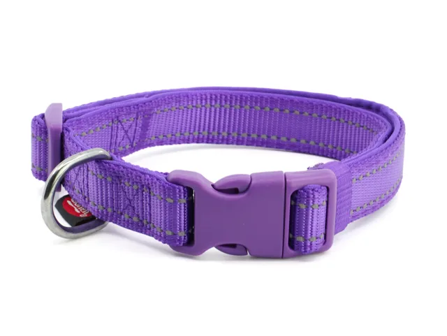 Vsepropejska Blanka obojek s podšívkou pro psa | 21 - 54 cm Barva: Fialová, Obvod krku: 21 - 35 cm, Šířka: 1 cm