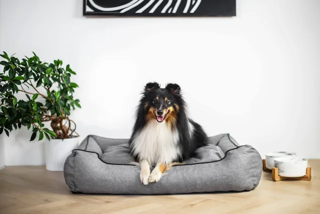Vsepropejska Comfort světle šedý pelech pro psa Barva: Šedá, Rozměr (cm): 90 x 75