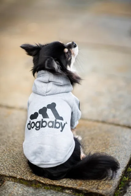 Vsepropejska DogBaby bavlněná mikina pro psa Barva: Šedá, Délka zad (cm): 25, Obvod hrudníku: 30 - 36 cm