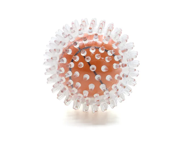 Vsepropejska Ježek dentální míček pro psa | 9 cm Barva: Oranžová
