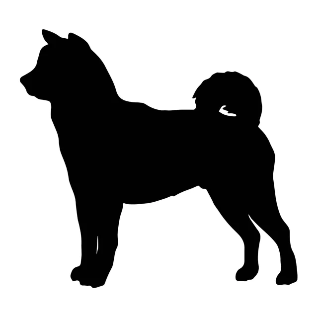 Vsepropejska Mag magnet na lednici ve tvaru psa Plemeno: Akita Inu