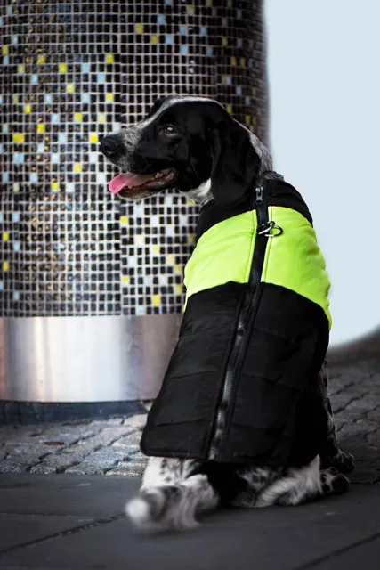 Vsepropejska Slim-rainy obleček pro psa na zip Barva: Černo-žlutá, Délka zad (cm): 20, Obvod hrudníku: 32 - 36 cm