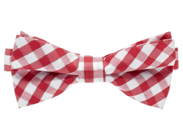 Vsepropejska Tia červený károvaný motýlek pro psa | 20 - 44 cm