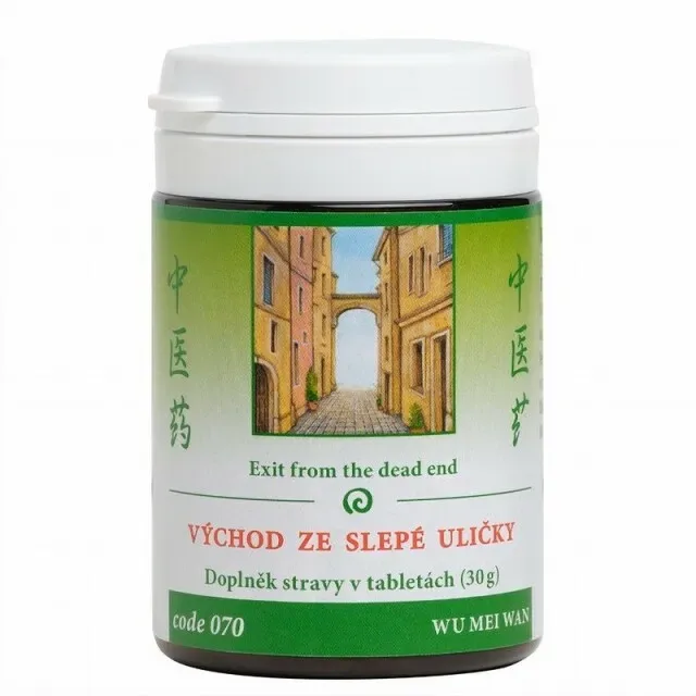 Východ ze slepé uličky (070)