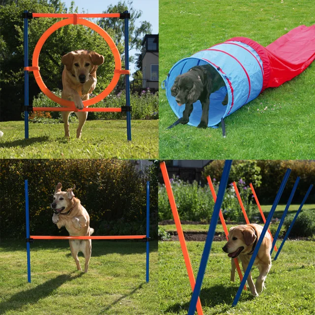 Výhodná sada:  Sport & agility - výhodná sada se 4 prvky