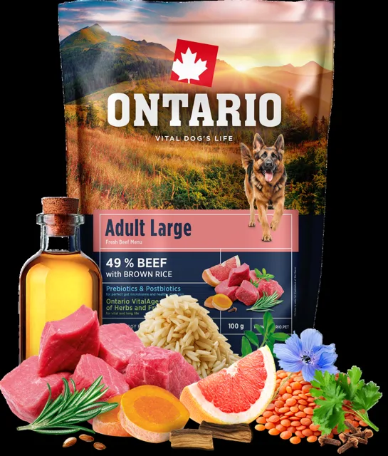 Vzorek - Ontario Adult Large Beef & Brown Rice 100g