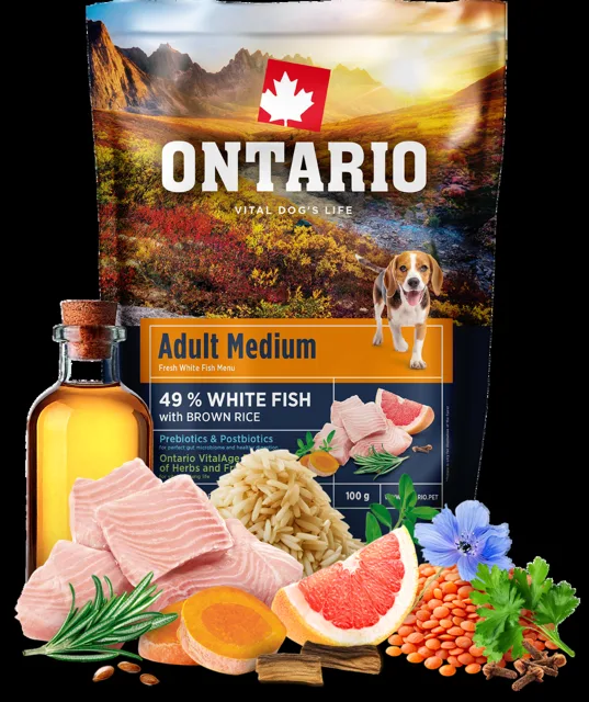 Vzorek - Ontario Adult Medium Fish & Brown Rice 100g