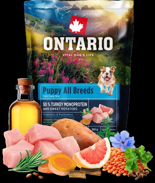 Vzorek - Ontario Puppy&Junior All Breeds Monoprotein Turkey & Sweet Potatoes 100g