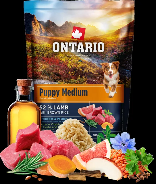 Vzorek - Ontario Puppy Medium Lamb & Brown Rice 100g