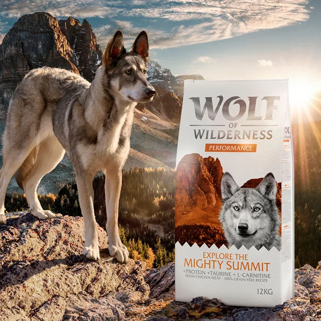 Wolf of Wilderness "Explore The Mighty Summit" Performance - bez obilovin - 400 g: nová receptura
