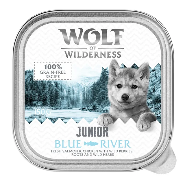 Wolf of Wilderness JUNIOR - Duo proteinová receptura 6 / 24 x 150 g miska - 24 ks (24 x 150 g) Blue River - kuře a losos