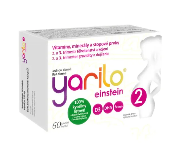 YARILO einstein 2 60 tobolek