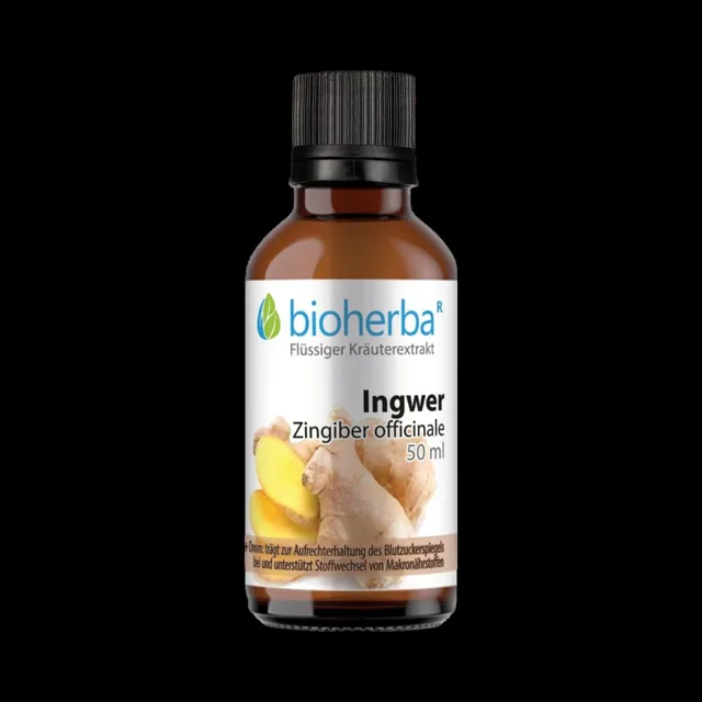 Zázvor kapky – tinktura – 50 ml – Bioherba