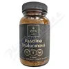 ZEEN Kyselina hyaluronová cps.60
