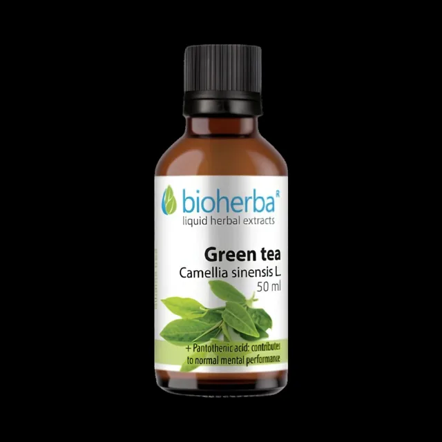 Zelený čaj (Camellia sinensis) kapky – tinktura – 50 ml – Bioherba