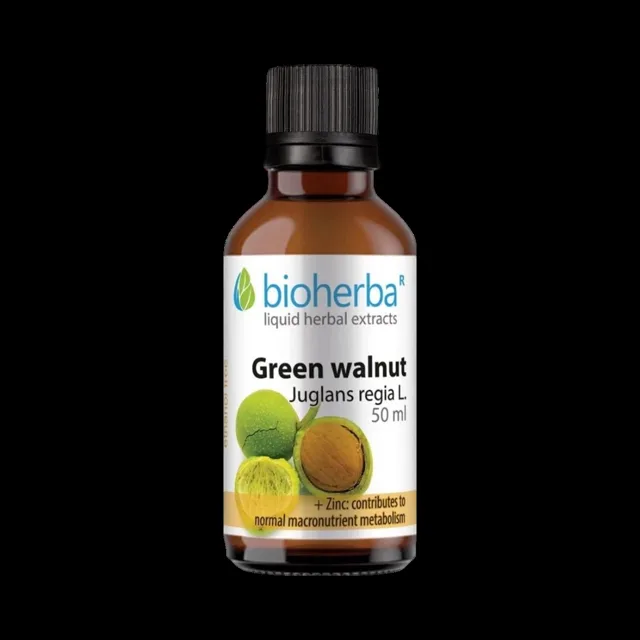 Zelený vlašský ořech (Juglans regia) kapky – tinktura – 50 ml – Bioherba