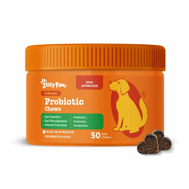 Zesty Paws Probiotic Chews dýně - 50 žvýkacích tablet